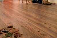 Masif Parke çeşitleri