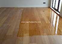 Parke cila uygulaması